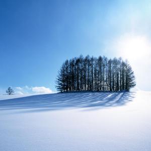 美女按摩偷拍视频一区二区
